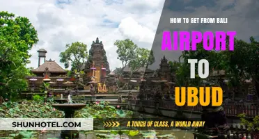 Bali Airport to Ubud: Easy Transport Options and Travel Tips