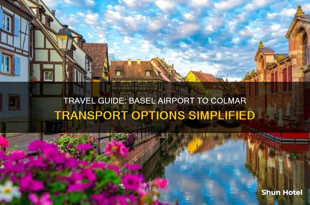 how to get from basel airport to colmar