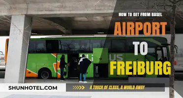 Basel Airport to Freiburg: Easy Travel Guide & Transport Options