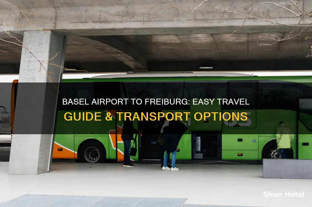 how to get from basel airport to freiburg