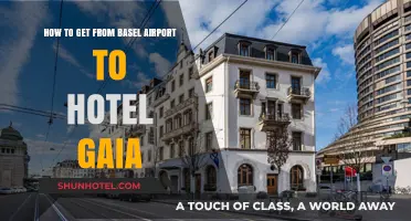 Basel Airport to Hotel Gaia: Easy Transport Options & Tips