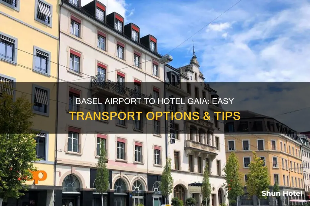 how to get from basel airport to hotel gaia
