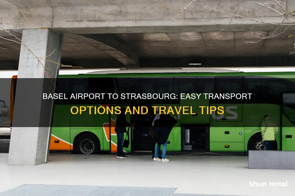 how to get from basel airport to strasbourg