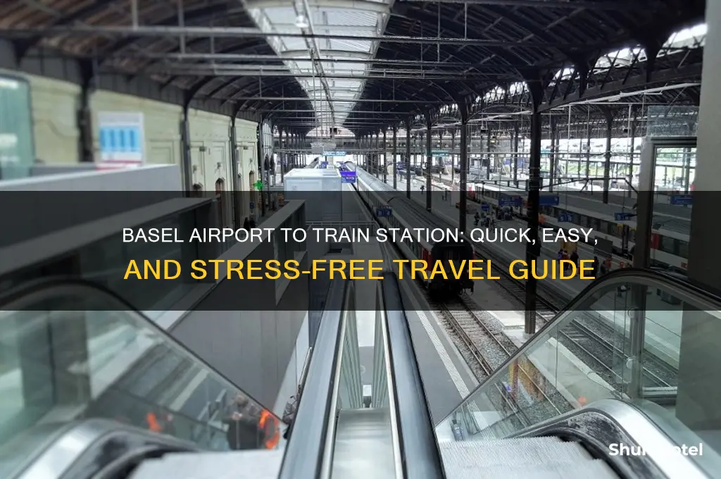 how to get from basel airport to train station