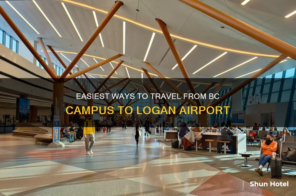how to get from bc campus to logan airport