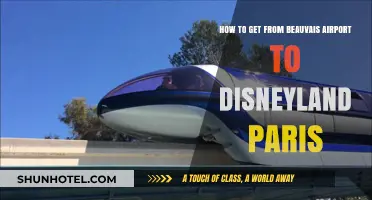 Travel Guide: Beauvais Airport to Disneyland Paris Transport Options