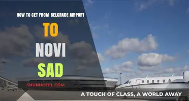 Travel Guide: Belgrade Airport to Novi Sad Transport Options