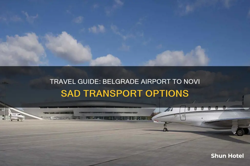 how to get from belgrade airport to novi sad