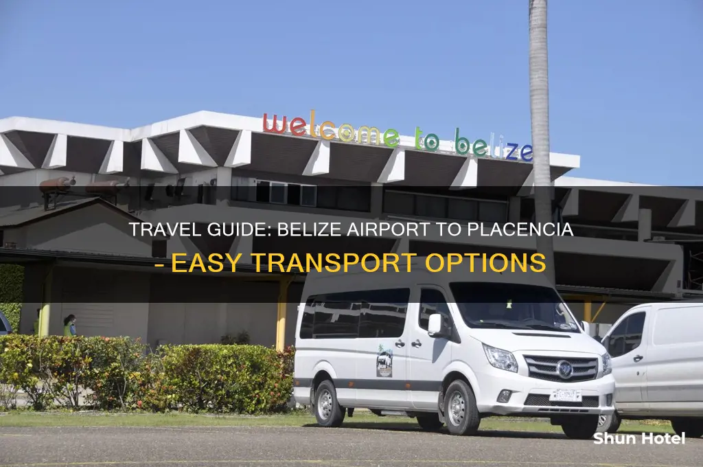 how to get from belize airport to placencia