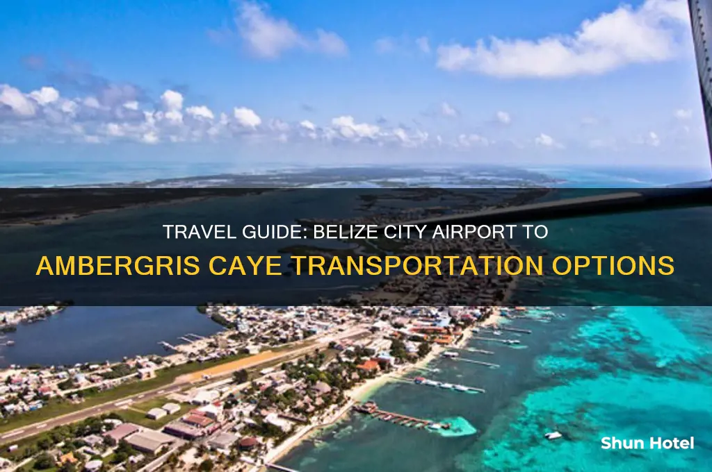how to get from belize city airport to ambergris caye