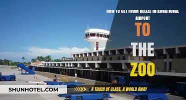 Travel Guide: Belize Airport to Zoo Transportation Options & Tips