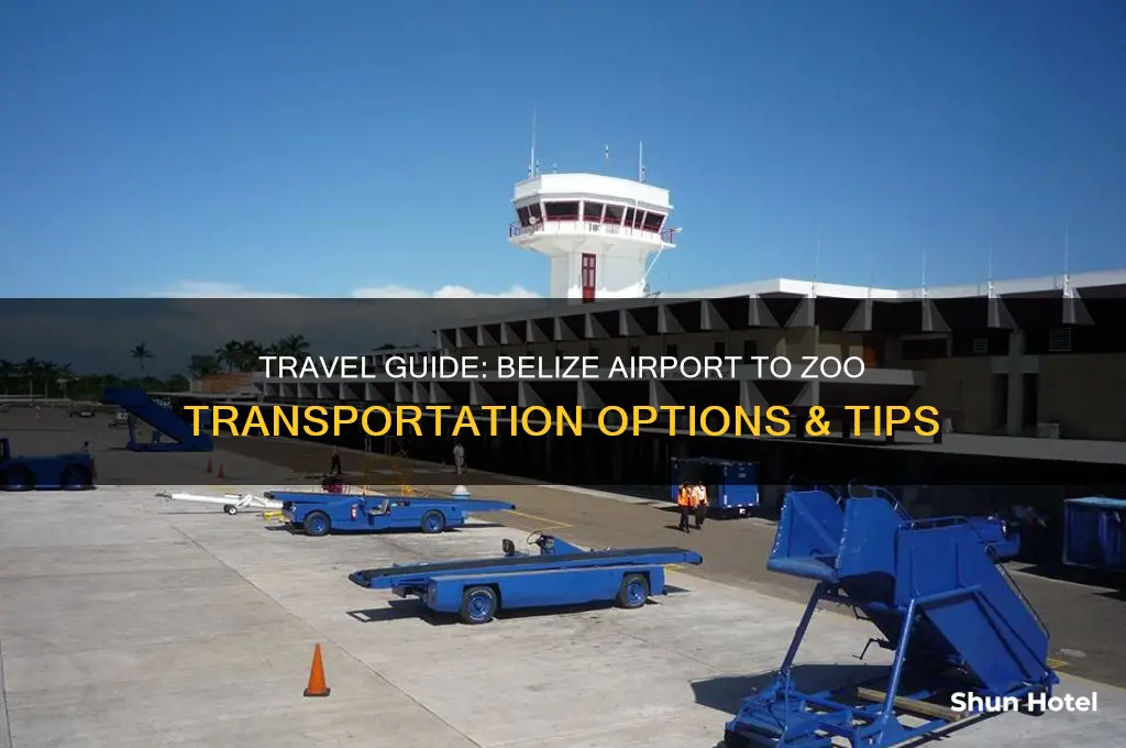 how to get from belize international airport to the zoo