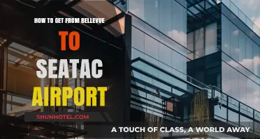 Easiest Ways to Travel from Bellevue to SeaTac Airport