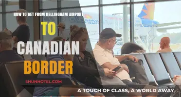 Bellingham Airport to Canadian Border: Quick & Easy Travel Guide