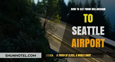 Bellingham to Seattle Airport: Easy Travel Tips and Routes