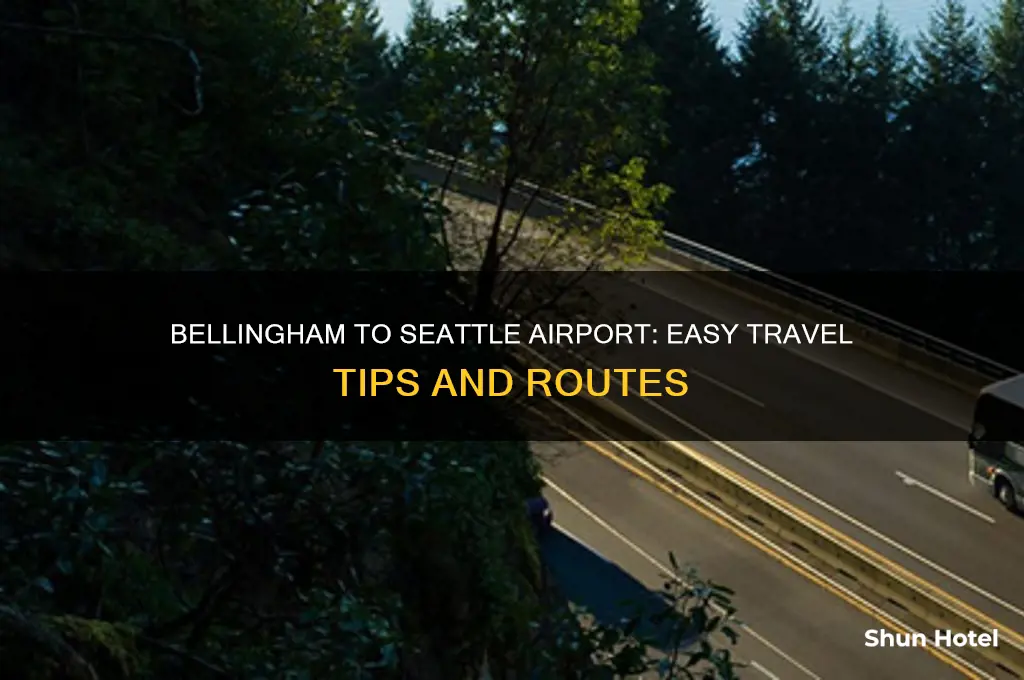 how to get from bellingham to seattle airport