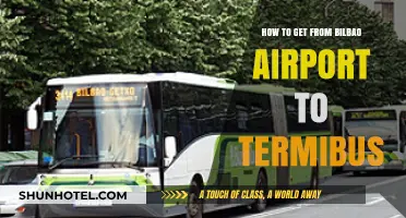 Traveling from Bilbao Airport to Termibus: Easy Transport Options