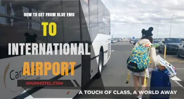 Travel Guide: Blue Emu to International Airport Transportation Tips