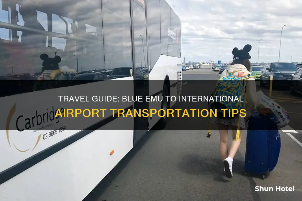 how to get from blue emu to international airport