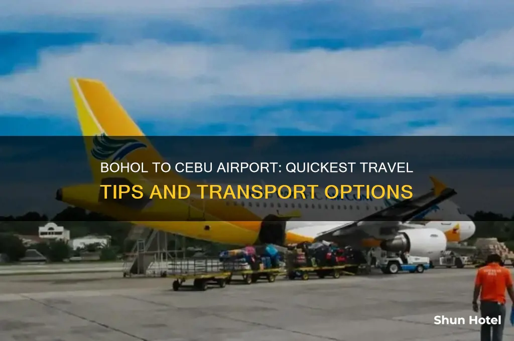 how to get from bohol to cebu airport