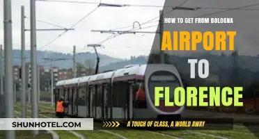 Bologna Airport to Florence: Quick, Easy, and Affordable Travel Tips