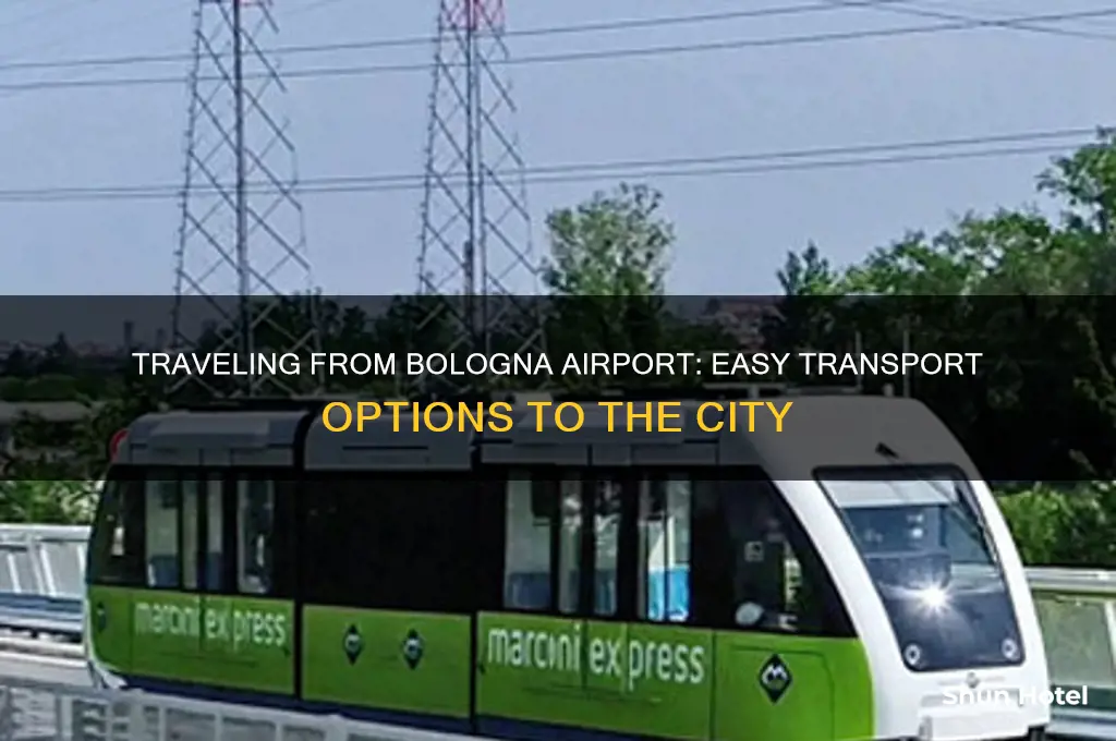 how to get from bologna airport