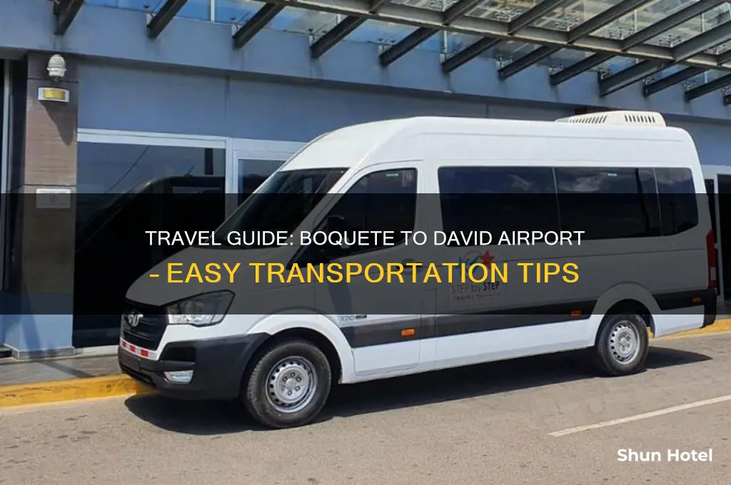 how to get from boquete to david airport