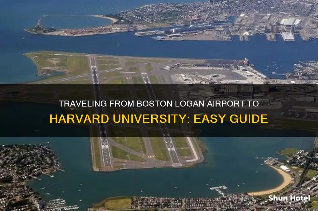 how to get from bos airport to harvard university