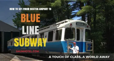 Boston Airport to Blue Line: Quick & Easy Transit Guide