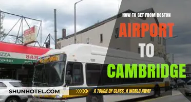 Easy Boston Airport to Cambridge Travel Guide: Best Transport Options