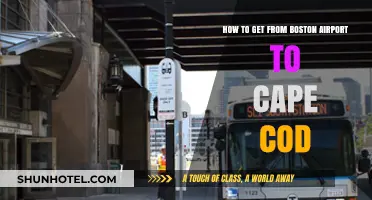 Boston Airport to Cape Cod: Easy Transportation Options & Tips