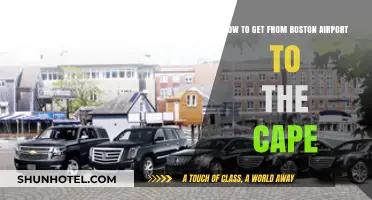 Boston Airport to Cape Cod: Easy Transportation Options & Tips