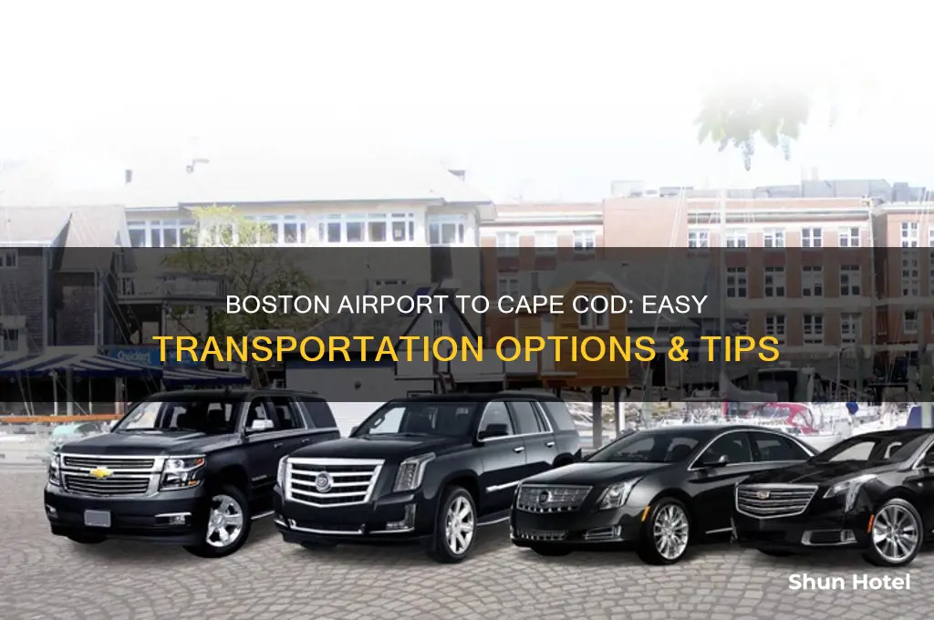 how to get from boston airport to the cape