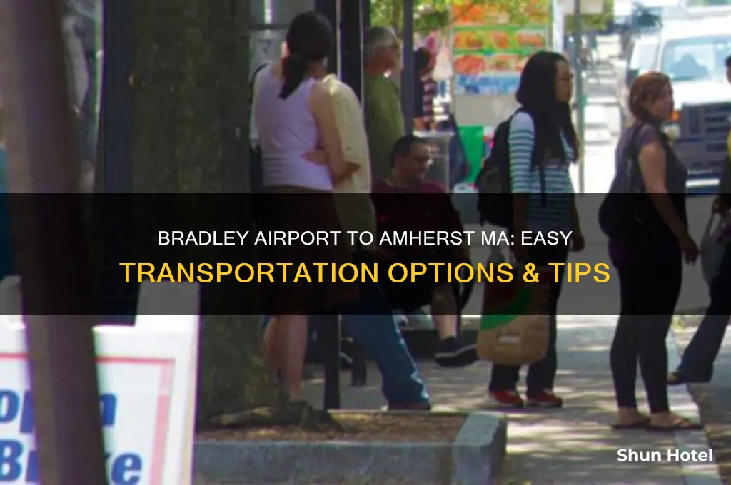 how to get from bradley airport to amherst ma