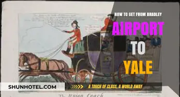 Bradley Airport to Yale: Easy Transportation Options and Tips