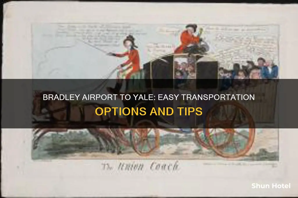 how to get from bradley airport to yale