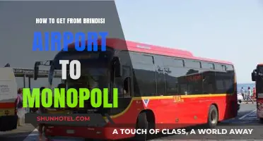Brindisi Airport to Monopoli: Easy Transport Options & Travel Tips