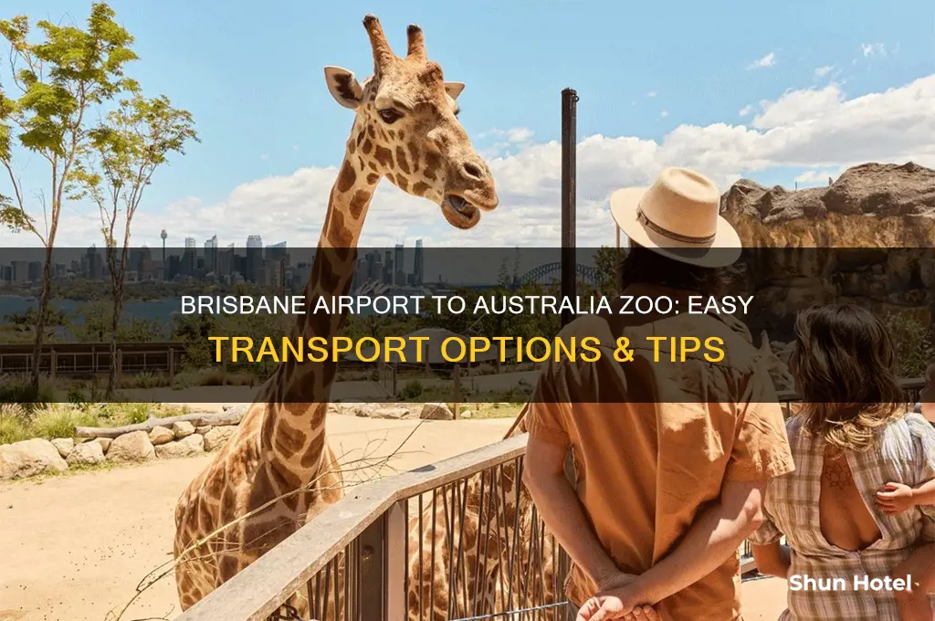 how to get from brisbane airport to australia zoo