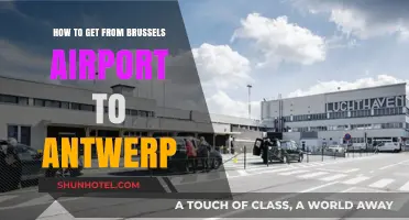 Brussels Airport to Antwerp: Easy Transport Options & Travel Tips