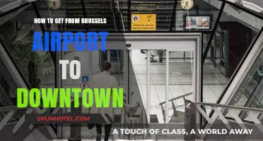 Brussels Airport to Downtown: Quick, Easy, and Affordable Travel Tips