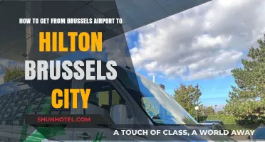 Brussels Airport to Hilton Brussels City: Easy Transport Options