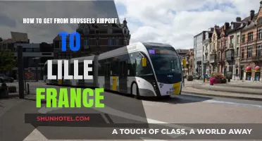 Brussels Airport to Lille: Easy Transport Options and Travel Tips