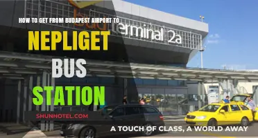 Budapest Airport to Nepliget Bus Station: Easy Transport Guide