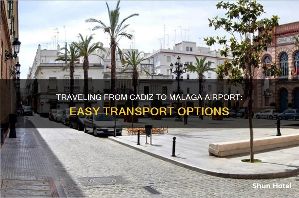 how to get from cadiz to malaga airport