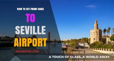 Traveling from Cadiz to Seville Airport: Easy Transport Options