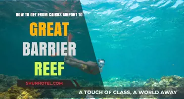 Cairns Airport to Great Barrier Reef: Quick & Easy Travel Guide