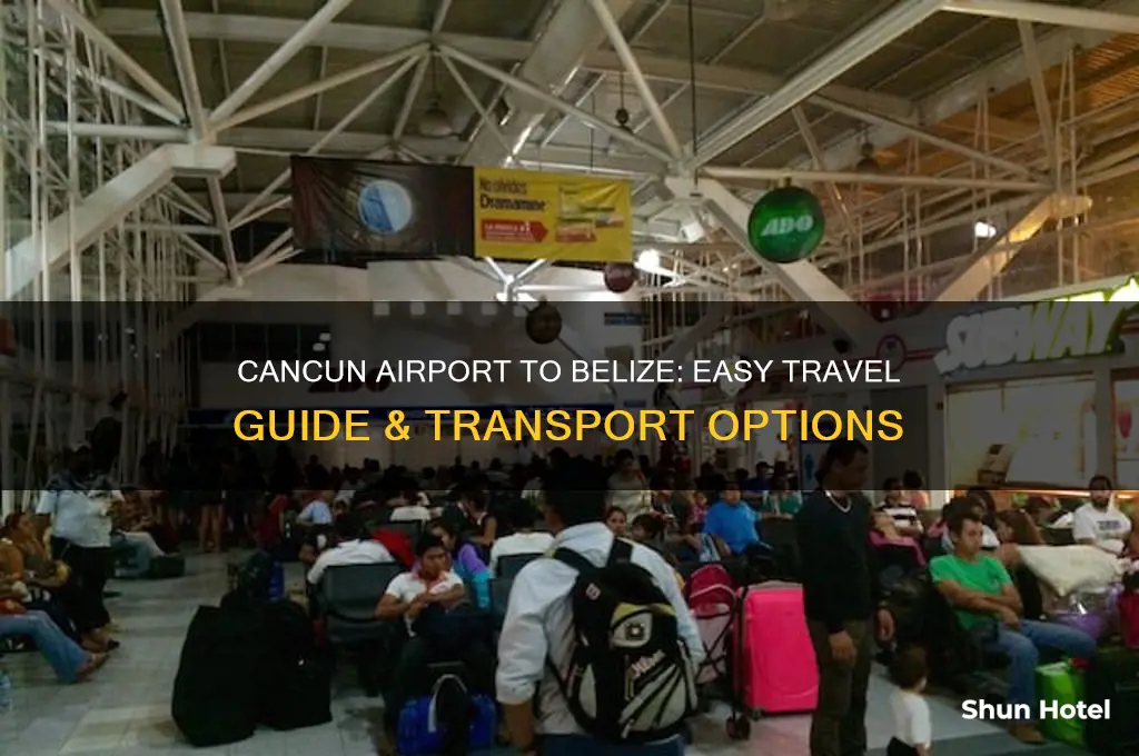 how to get from cancun airport to belize