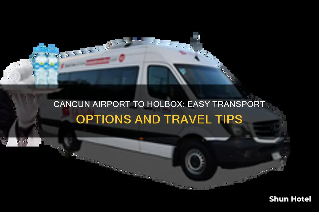how to get from cancun airport to holbox