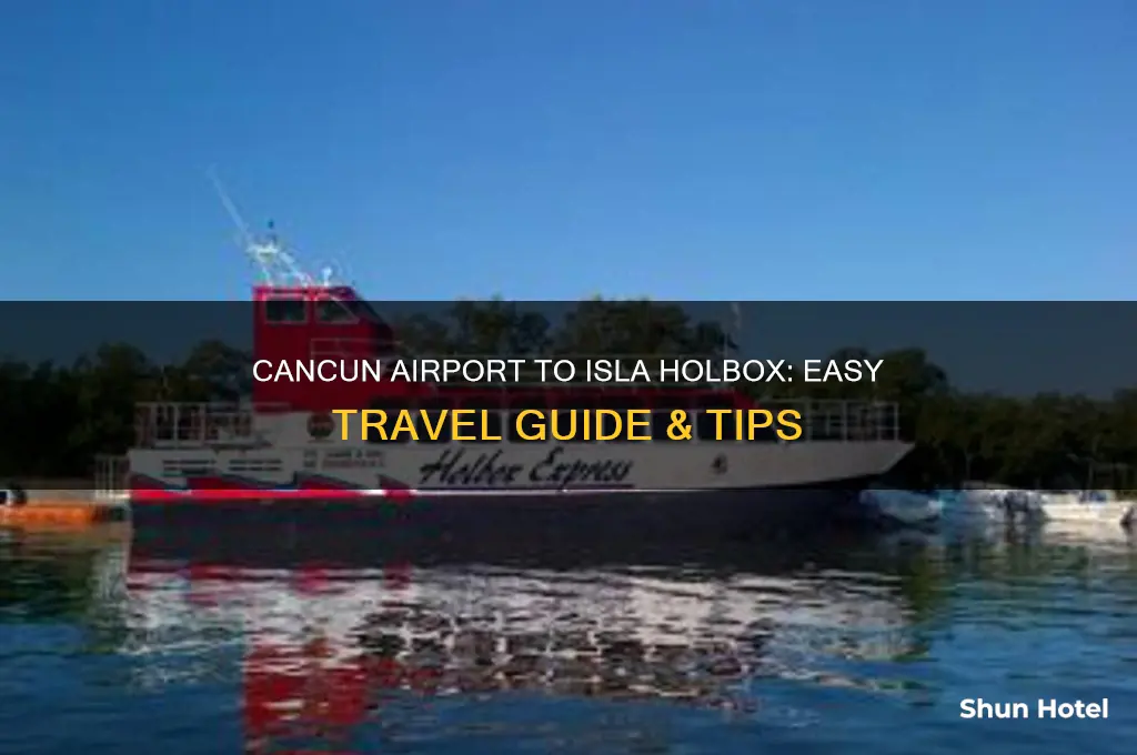 how to get from cancun airport to isla holbox
