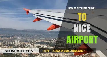 Traveling from Cannes to Nice Airport: Easy Transport Options